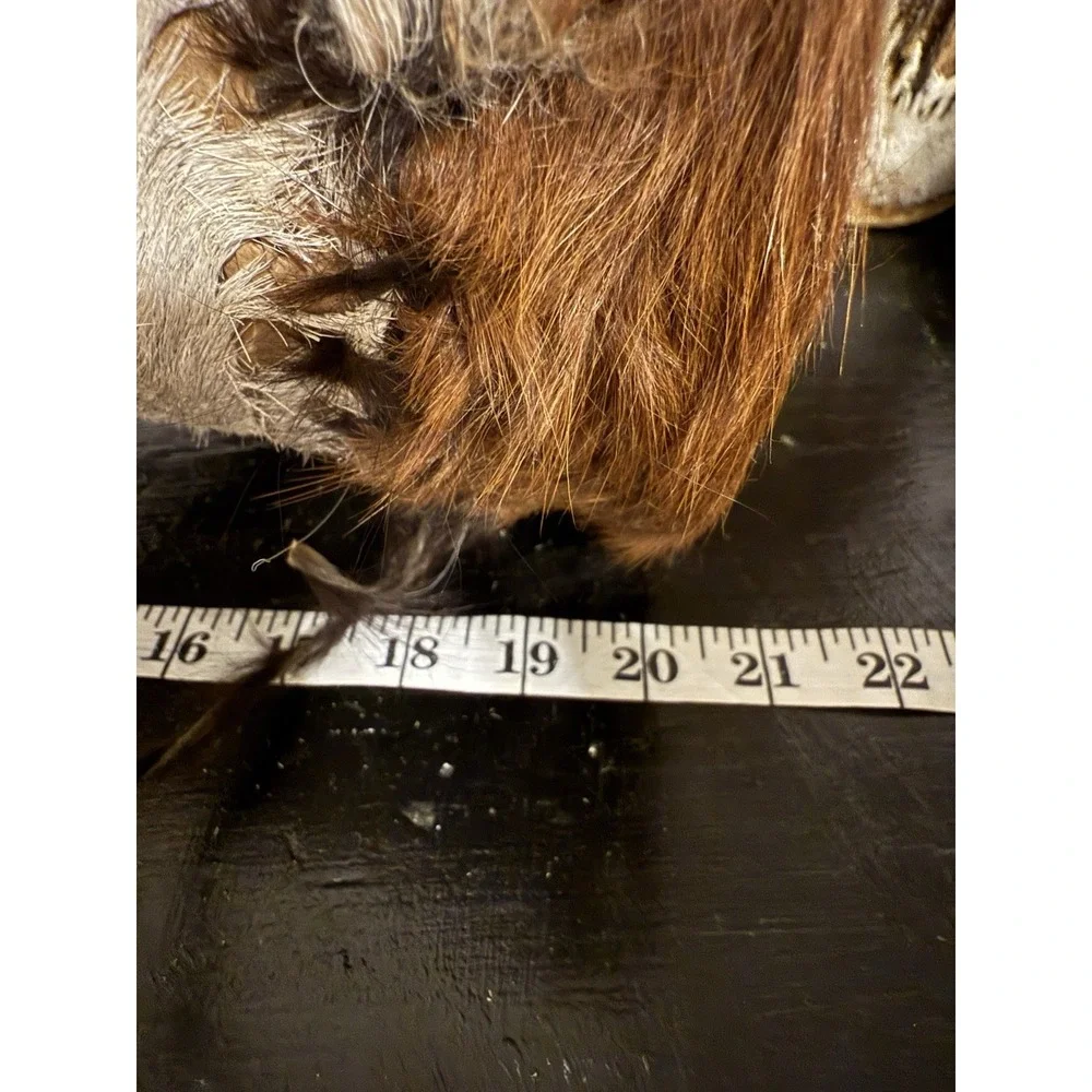 African Dual Ended Congo Hand Drum Goat Fur‎ 21